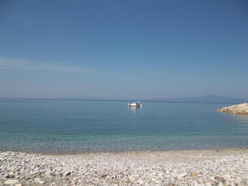 Amber Seaview Villa By The Olive Groves 卡拉马塔 外观 照片